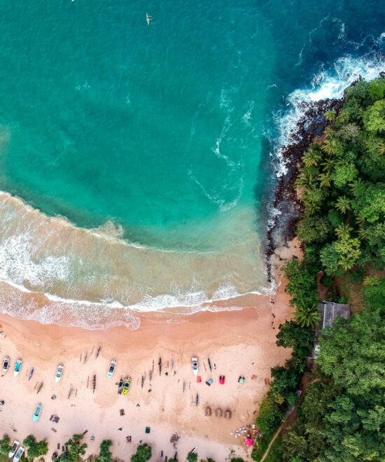 Travel Guide Sri Lanka: Unveil the Best Adventures in 2025