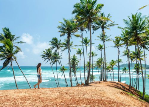 When is the Best Time to Visit Sri Lanka? A Complete Guide to the Monsoon Seasons