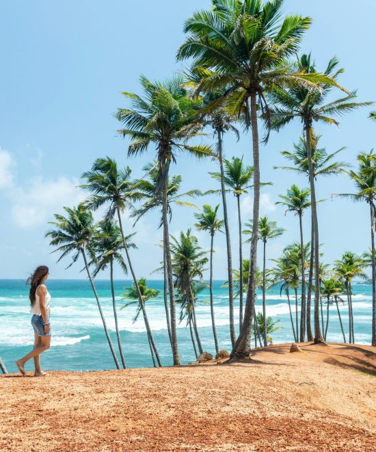 When is the Best Time to Visit Sri Lanka? A Complete Guide to the Monsoon Seasons