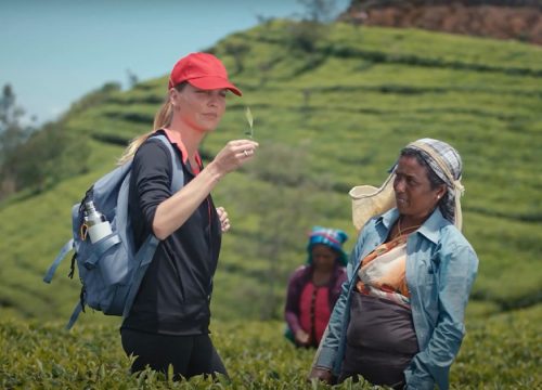 Walking the Pekoe Trail in Luxury: Sri Lanka’s Premier Tea Country Trek